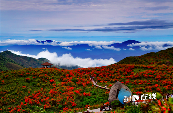 县域旅游综合实力百强出炉!浏阳获全国第二,湖南第一