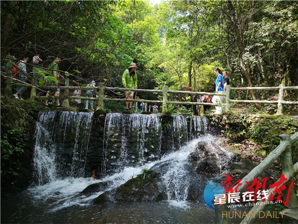 (游客在古港镇皇龙大峡谷清凉惬意游走)