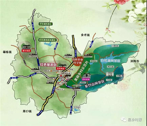 高桥镇导游词 | 我行过许多地方的桥,却只钟情于"高桥"