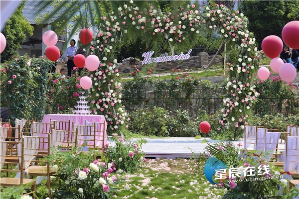 玫瑰恋人,情定宁乡,湘都首场户外婚礼浪漫五一